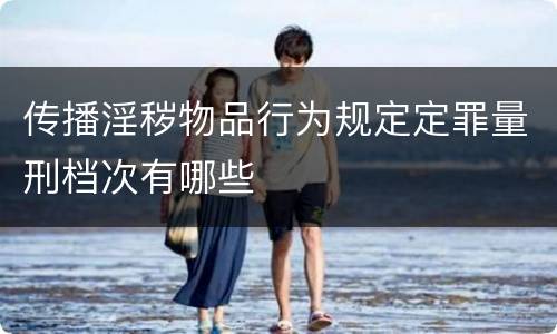传播淫秽物品行为规定定罪量刑档次有哪些