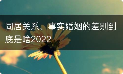 同居关系、事实婚姻的差别到底是啥2022