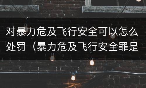 对暴力危及飞行安全可以怎么处罚（暴力危及飞行安全罪是危险犯吗）