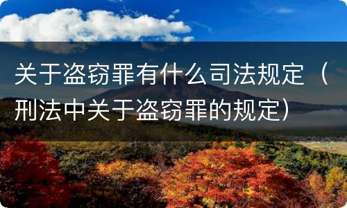 关于盗窃罪有什么司法规定（刑法中关于盗窃罪的规定）