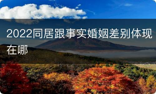 2022同居跟事实婚姻差别体现在哪