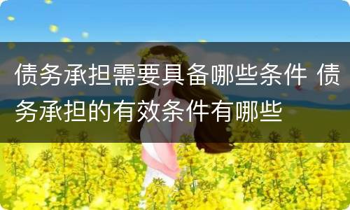 债务承担需要具备哪些条件 债务承担的有效条件有哪些