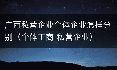 广西私营企业个体企业怎样分别（个体工商 私营企业）