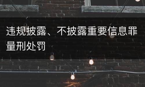 违规披露、不披露重要信息罪量刑处罚