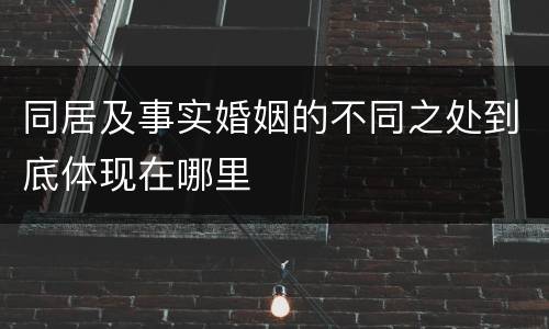 同居及事实婚姻的不同之处到底体现在哪里