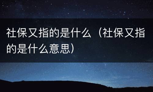 社保又指的是什么（社保又指的是什么意思）