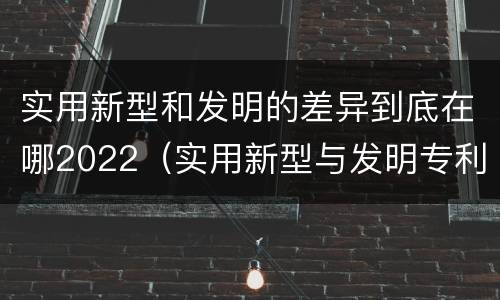 实用新型和发明的差异到底在哪2022（实用新型与发明专利的区别有哪些）