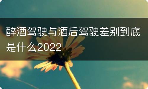醉酒驾驶与酒后驾驶差别到底是什么2022