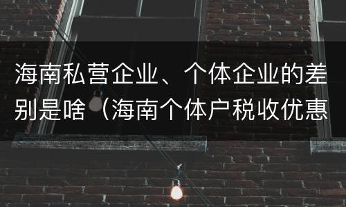 海南私营企业、个体企业的差别是啥（海南个体户税收优惠政策）