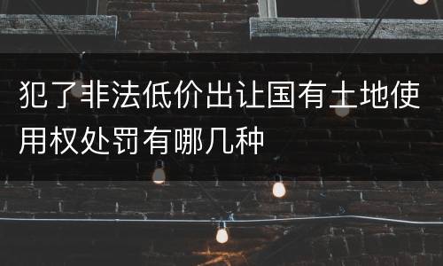 犯了非法低价出让国有土地使用权处罚有哪几种
