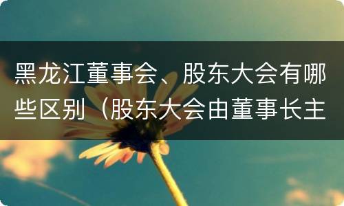 黑龙江董事会、股东大会有哪些区别（股东大会由董事长主持）