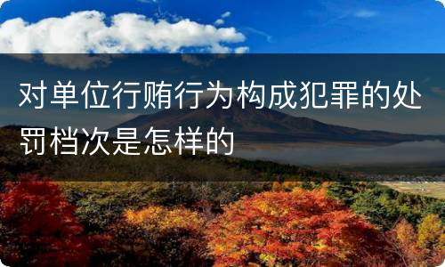 对单位行贿行为构成犯罪的处罚档次是怎样的