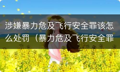 涉嫌暴力危及飞行安全罪该怎么处罚（暴力危及飞行安全罪司法解释）