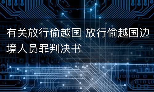 有关放行偷越国 放行偷越国边境人员罪判决书