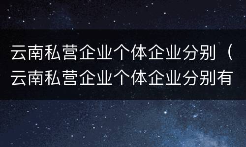云南私营企业个体企业分别（云南私营企业个体企业分别有哪些）