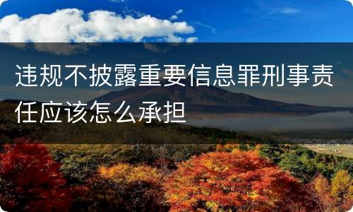 违规不披露重要信息罪刑事责任应该怎么承担