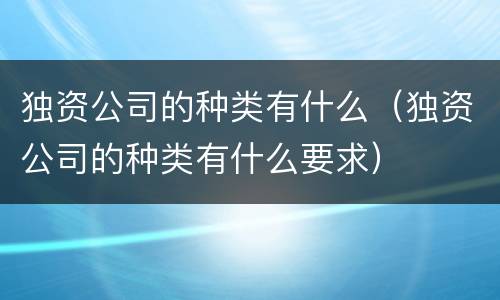 独资公司的种类有什么（独资公司的种类有什么要求）