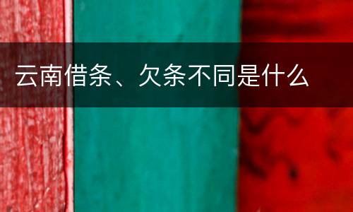 云南借条、欠条不同是什么