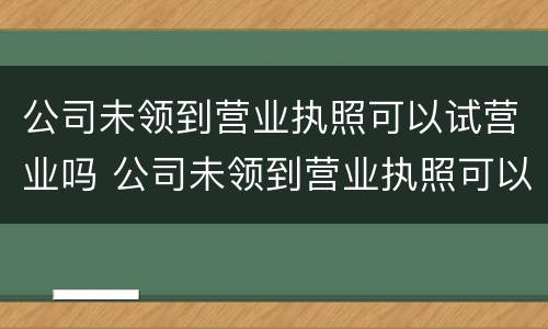 公司未领到营业执照可以试营业吗 公司未领到营业执照可以试营业吗怎么办