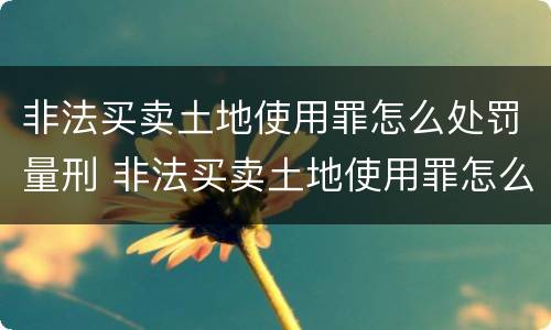 非法买卖土地使用罪怎么处罚量刑 非法买卖土地使用罪怎么处罚量刑多少