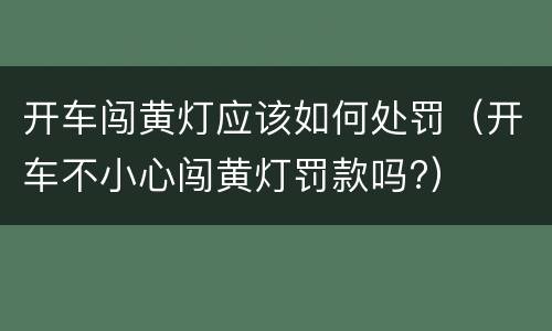 开车闯黄灯应该如何处罚（开车不小心闯黄灯罚款吗?）