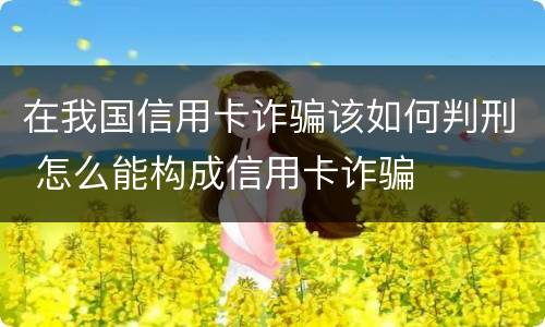 在我国信用卡诈骗该如何判刑 怎么能构成信用卡诈骗