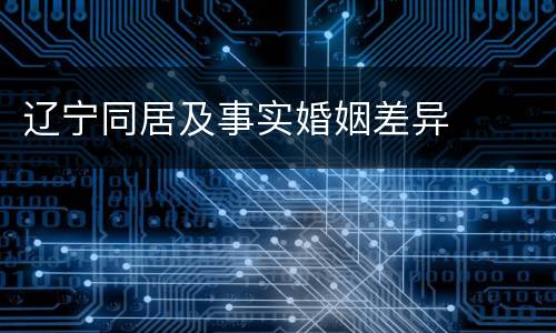 辽宁同居及事实婚姻差异