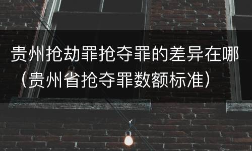 贵州抢劫罪抢夺罪的差异在哪（贵州省抢夺罪数额标准）