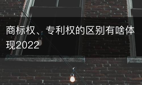商标权、专利权的区别有啥体现2022