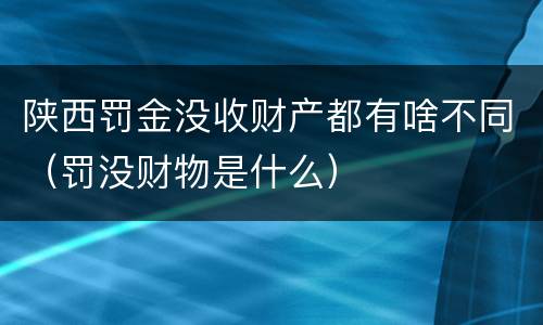 陕西罚金没收财产都有啥不同（罚没财物是什么）