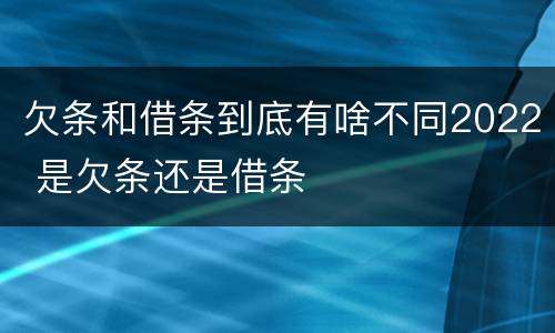 欠条和借条到底有啥不同2022 是欠条还是借条