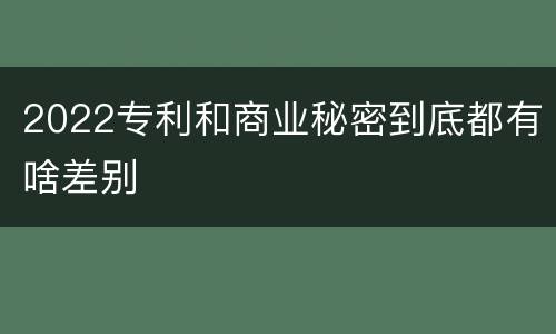 2022专利和商业秘密到底都有啥差别
