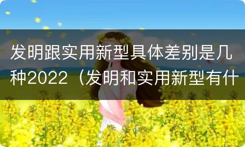 发明跟实用新型具体差别是几种2022（发明和实用新型有什么区别）