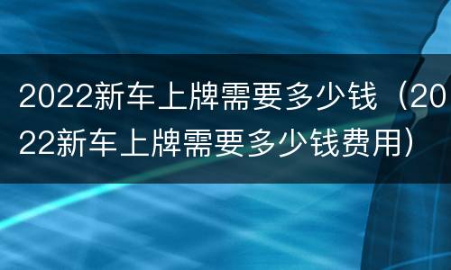 2022新车上牌需要多少钱（2022新车上牌需要多少钱费用）