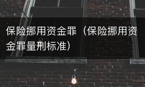 保险挪用资金罪（保险挪用资金罪量刑标准）