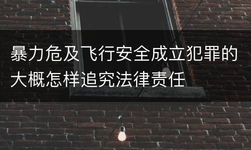 暴力危及飞行安全成立犯罪的大概怎样追究法律责任