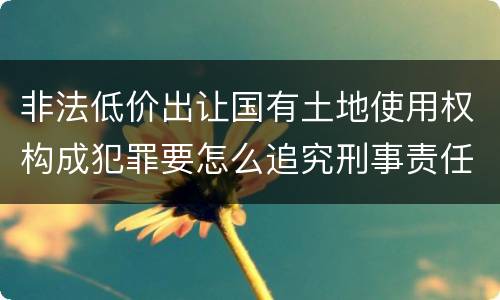 非法低价出让国有土地使用权构成犯罪要怎么追究刑事责任