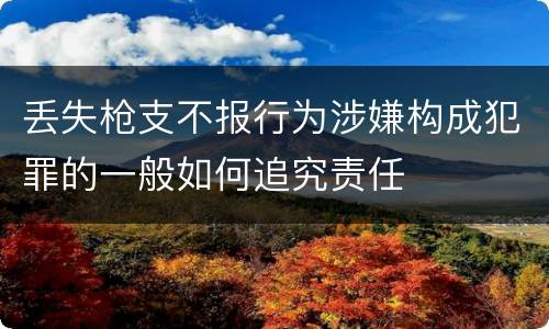 丢失枪支不报行为涉嫌构成犯罪的一般如何追究责任