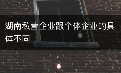 湖南私营企业跟个体企业的具体不同