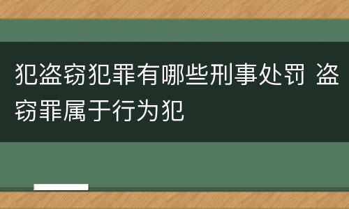 犯盗窃犯罪有哪些刑事处罚 盗窃罪属于行为犯