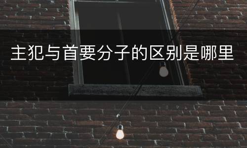主犯与首要分子的区别是哪里