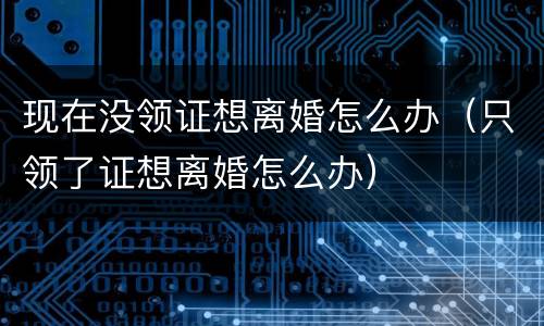 现在没领证想离婚怎么办（只领了证想离婚怎么办）
