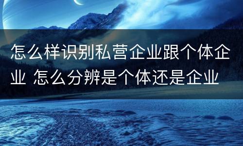 怎么样识别私营企业跟个体企业 怎么分辨是个体还是企业