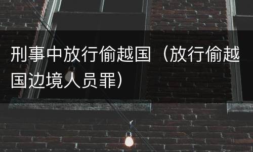 刑事中放行偷越国（放行偷越国边境人员罪）
