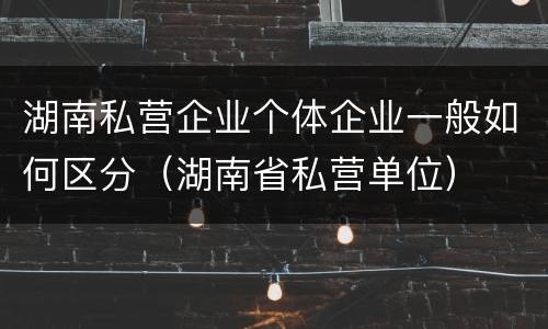 湖南私营企业个体企业一般如何区分（湖南省私营单位）