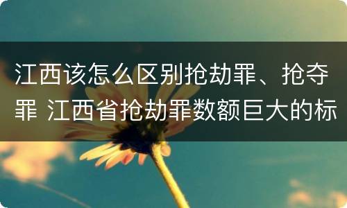 江西该怎么区别抢劫罪、抢夺罪 江西省抢劫罪数额巨大的标准