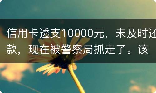 信用卡透支10000元，未及时还款，现在被警察局抓走了。该如何处理