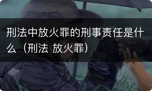 刑法中放火罪的刑事责任是什么（刑法 放火罪）