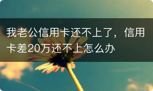 我老公信用卡还不上了，信用卡差20万还不上怎么办