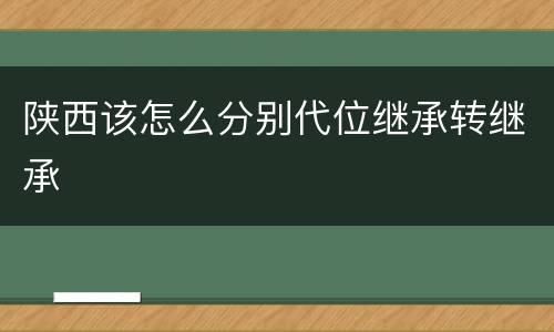 陕西该怎么分别代位继承转继承